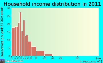 Shopville household income distribution
