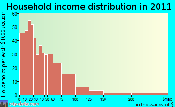 South Williamson household income distribution