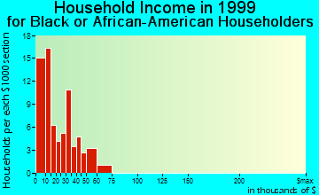 Ripley household income for Black or African American householders