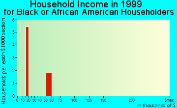Ralston household income for Black or African American householders