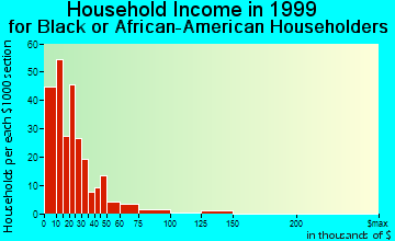 Magnolia household income for Black or African American householders