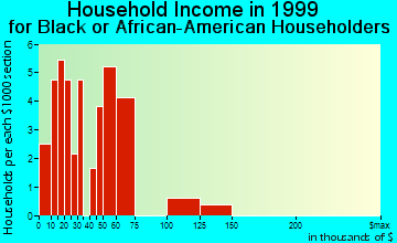 Princeton household income for Black or African American householders