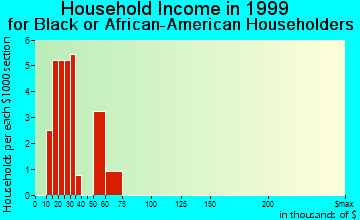 Runnemede household income for Black or African American householders