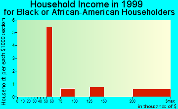 South Farmingdale household income for Black or African American householders