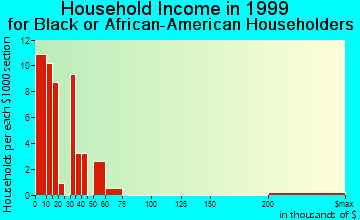 McMinnville household income for Black or African American householders