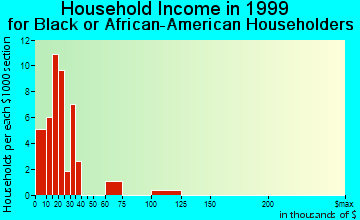 Newport household income for Black or African American householders