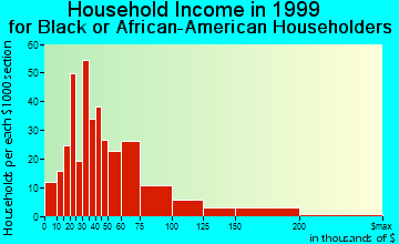 Richardson household income for Black or African American householders