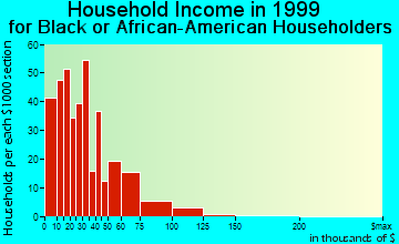 Fredericksburg household income for Black or African American householders