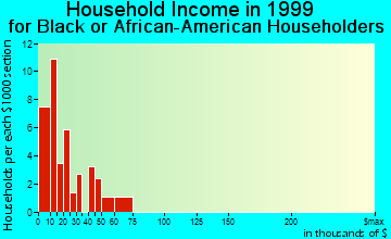 Princeton household income for Black or African American householders
