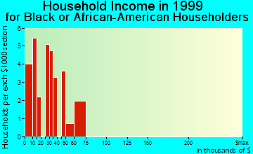 Grand Junction household income for Black or African American householders