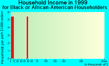 Las Animas household income for Black or African American householders