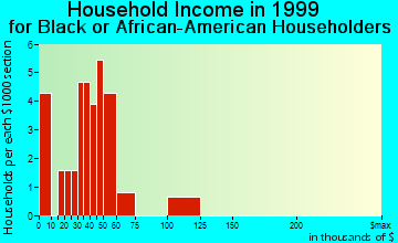 Newport household income for Black or African American householders