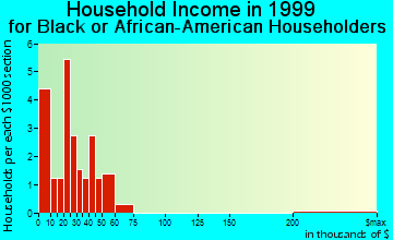 Selbyville household income for Black or African American householders