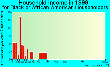 Dunedin household income for Black or African American householders