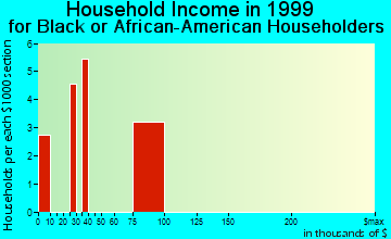 Hamptons at Boca Raton household income for Black or African American householders