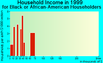 Minneola household income for Black or African American householders