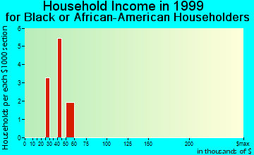 New Port Richey East household income for Black or African American householders