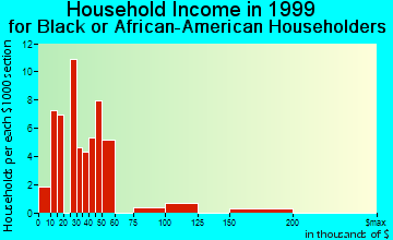 Port St. John household income for Black or African American householders
