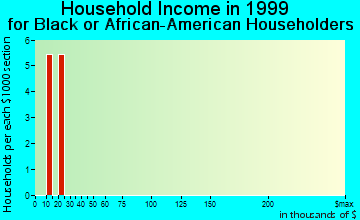 The Villages household income for Black or African American householders