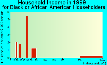 Williamsburg household income for Black or African American householders