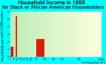 Rock Falls household income for Black or African American householders