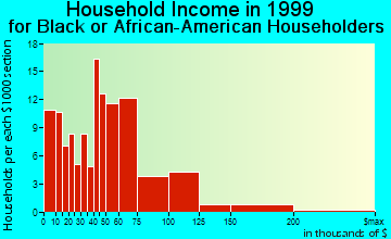 College Park household income for Black or African American householders