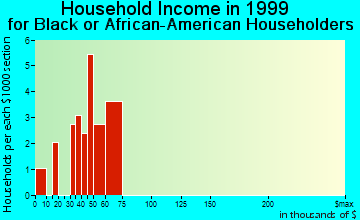 Holbrook household income for Black or African American householders