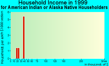 Negaunee household income for American Indian or Alaska Native householders