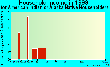 Plymouth Township household income for American Indian or Alaska Native householders