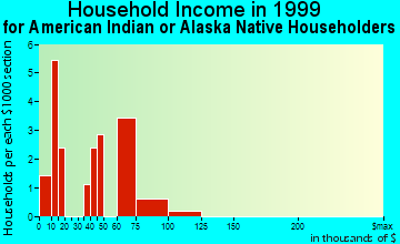 Burnsville household income for American Indian or Alaska Native householders