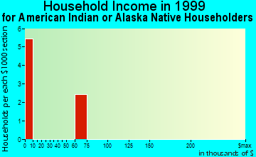 Elkins household income for American Indian or Alaska Native householders