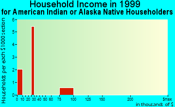 Rogersville household income for American Indian or Alaska Native householders