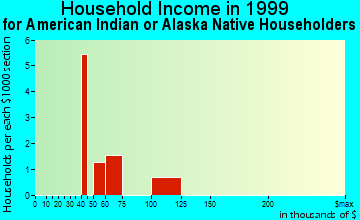 Falls City household income for American Indian or Alaska Native householders