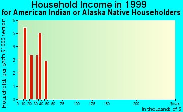 Bunker Hill household income for American Indian or Alaska Native householders