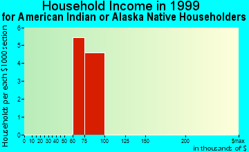 Birdsboro household income for American Indian or Alaska Native householders