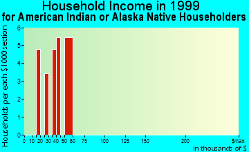 York household income for American Indian or Alaska Native householders
