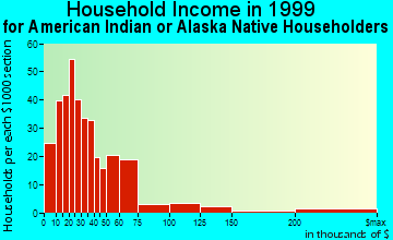 Austin household income for American Indian or Alaska Native householders