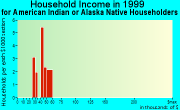Fredericksburg household income for American Indian or Alaska Native householders