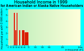 Ferndale household income for American Indian or Alaska Native householders