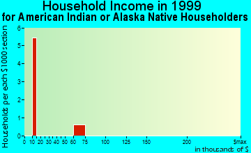 Fowler household income for American Indian or Alaska Native householders
