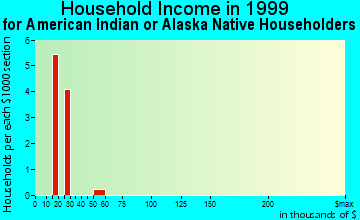 Bayonet Point household income for American Indian or Alaska Native householders