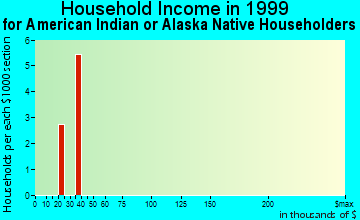 Forest City household income for American Indian or Alaska Native householders