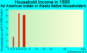 Lake Worth household income for American Indian or Alaska Native householders