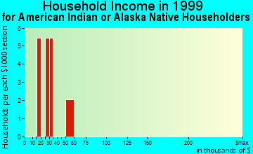 Port St. John household income for American Indian or Alaska Native householders