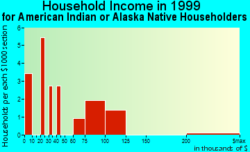Houston household income for American Indian or Alaska Native householders