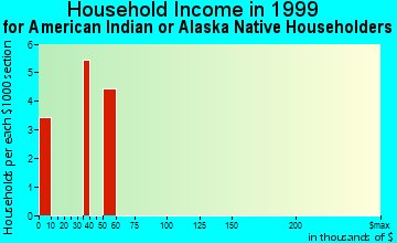 Portage household income for American Indian or Alaska Native householders