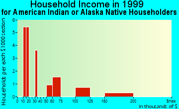 Nelson Lagoon household income for American Indian or Alaska Native householders