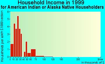 New Stuyahok household income for American Indian or Alaska Native householders