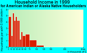 Noatak household income for American Indian or Alaska Native householders