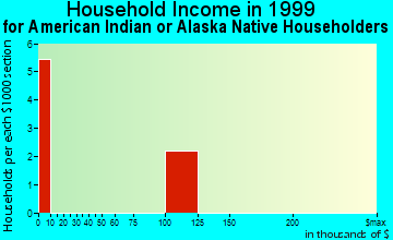 Newton household income for American Indian or Alaska Native householders